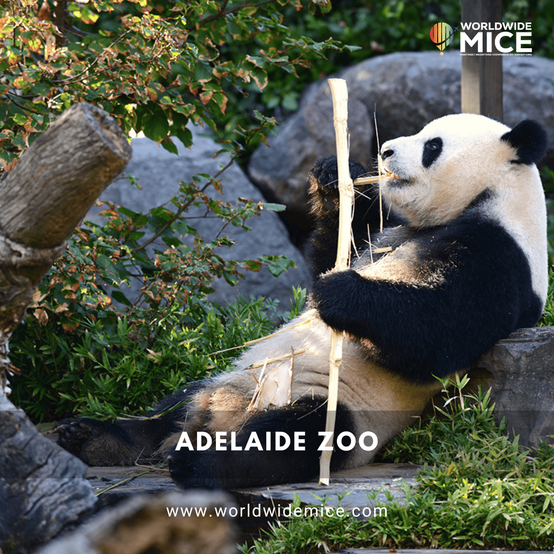 Adelaide Zoo
